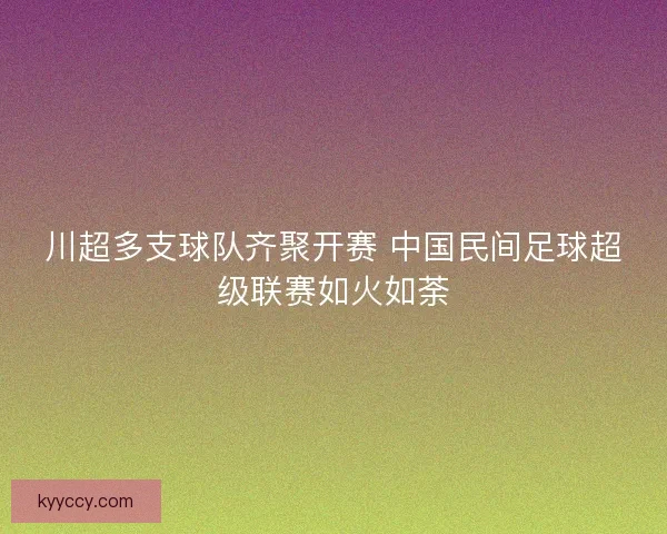 川超多支球队齐聚开赛 中国民间足球超级联赛如火如荼
